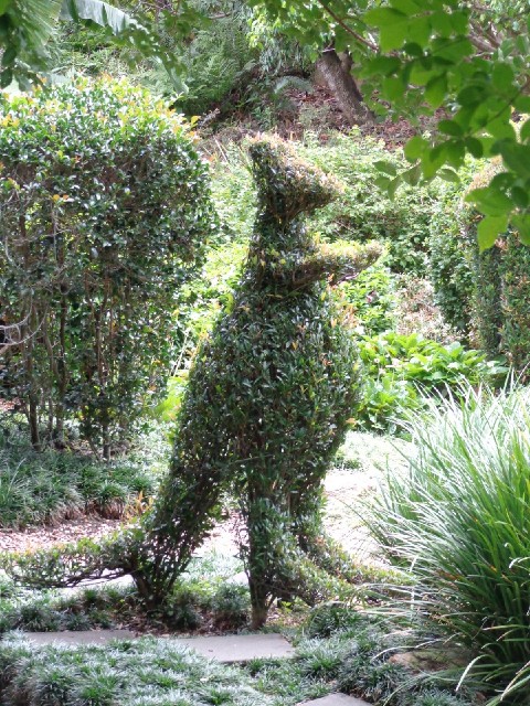 A topiary kangaroo.