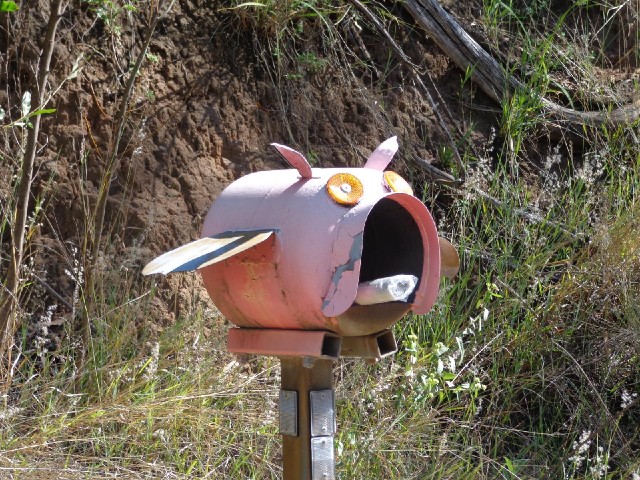 I don't know what kind of animal this mailbox is meant to be.