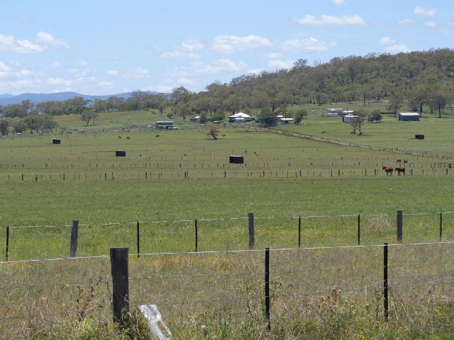 Fields of horses.