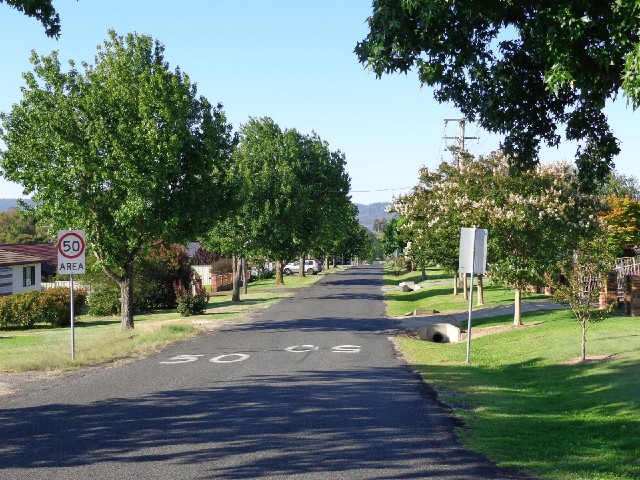 Tenterfield looks more lush than Warwick did.