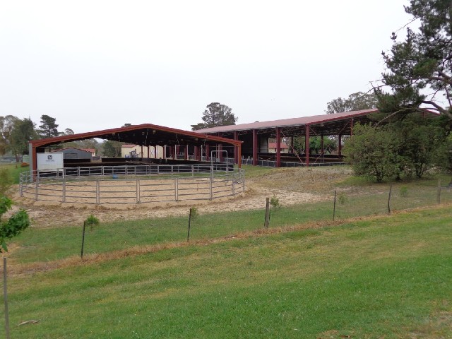 Armidale is known for having several posh schools. This one has its own equestrian centre. Apparentl...