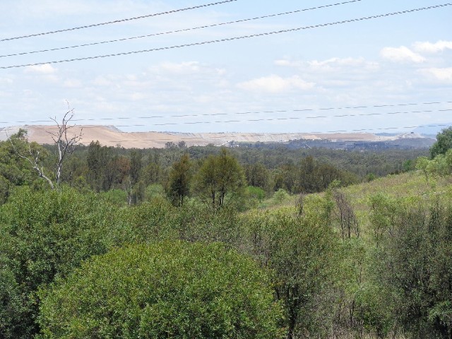 It looks like the whole of that light-coloured slope is rock which has been exposed by mining.
