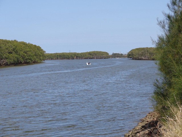 One braid of the Hunter's estuary.