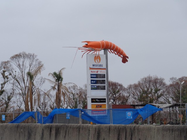 I didn't see anything referring to this as the Big Shrimp but it looks like one.