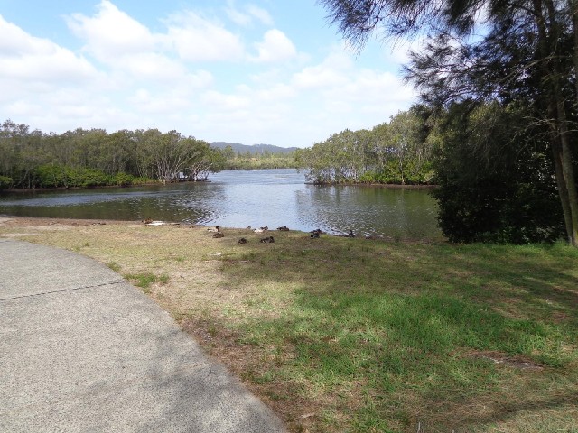 The cycle lane snakes through parkland around the edges of the lake.