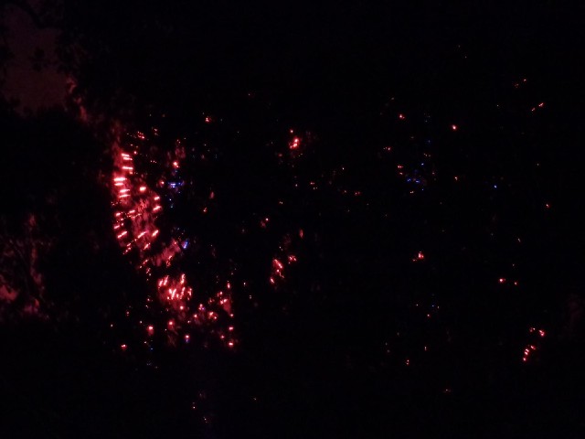 Partially obscured fireworks.
