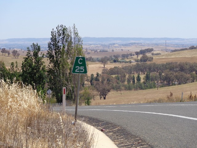 It's 25 km to Cowra and mostly downhill but the wind is making it quite hard work.