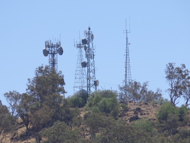A collection of masts.