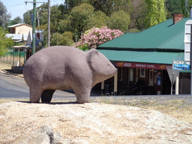 The wombat statue and the Wombat Hotel in the village of Wombat.