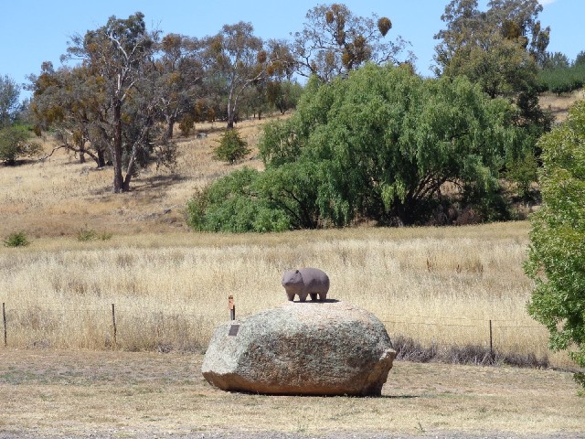 The Wombat wombat. According to the plaque, the idea and the money for it came from a man in Surrey.