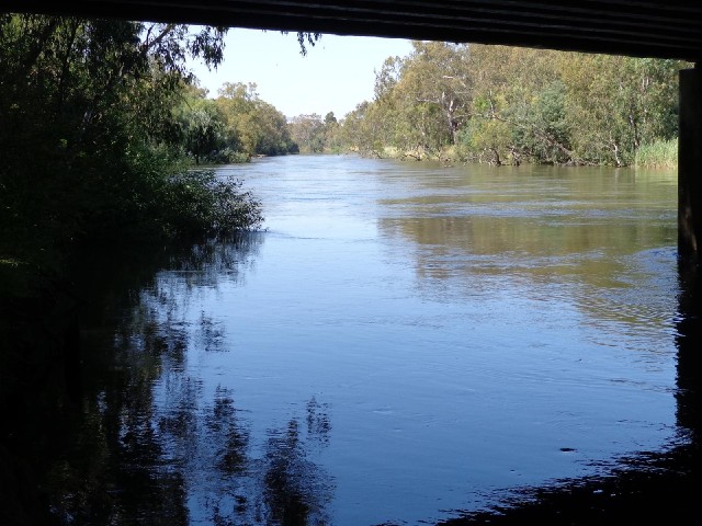The Murray River, separating New South Wales from Victoria.