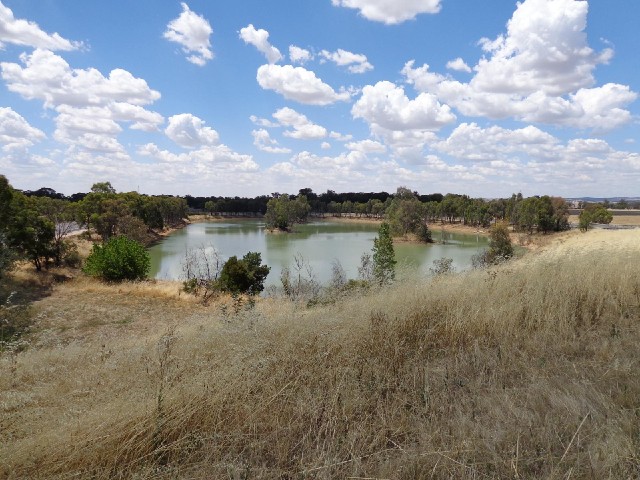 A lake in the loop of one of the freeway access ramps.