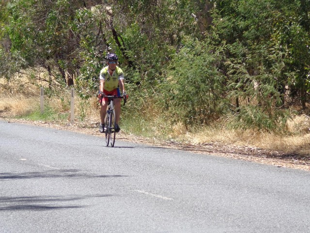 Another cyclist. He passed my a little while ago going the other way.