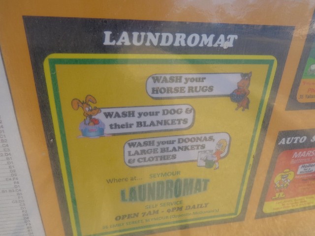 A doona is a quilt. Presumably the dog doesn't go in the same machine as all the rest.