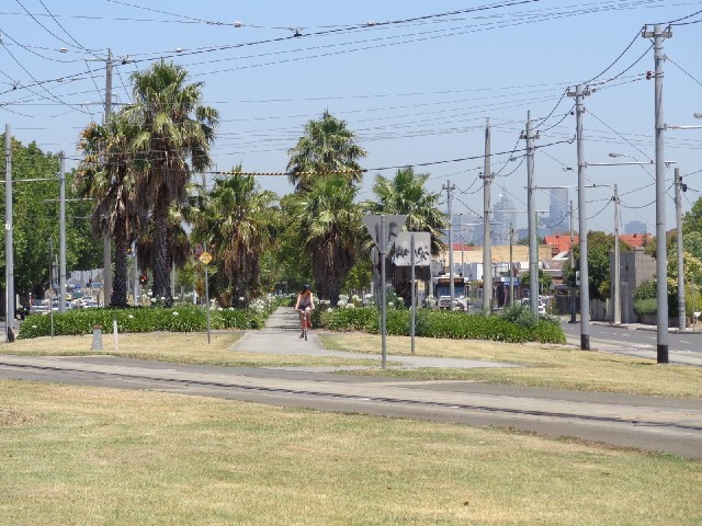 A pleasant cycle track, flanked by flowers and trees, flanked by the tram lines, flanked by the vehi...