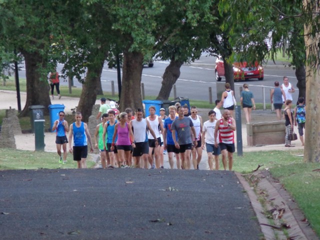 These look like more runners, except that they aren't running now and they're heading for the botani...