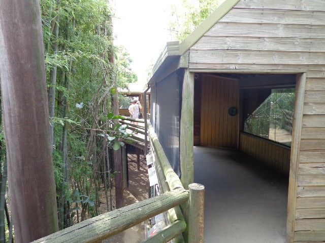 The walkway past varoius apes' enclosures.