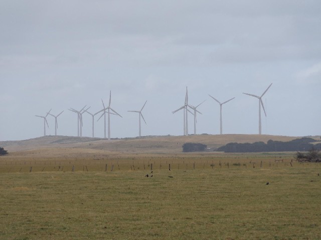 The Codrington wind farm.