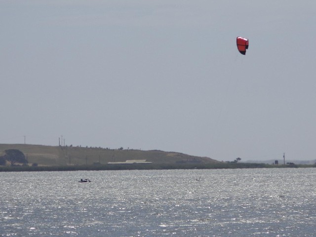 Somebody doing something with a kite on Lake Albert.