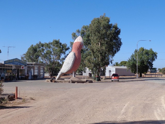 The Big Galah.