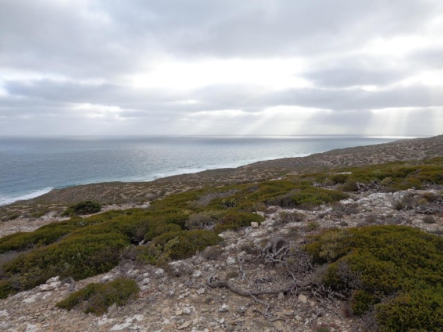 Sea and sunlight.