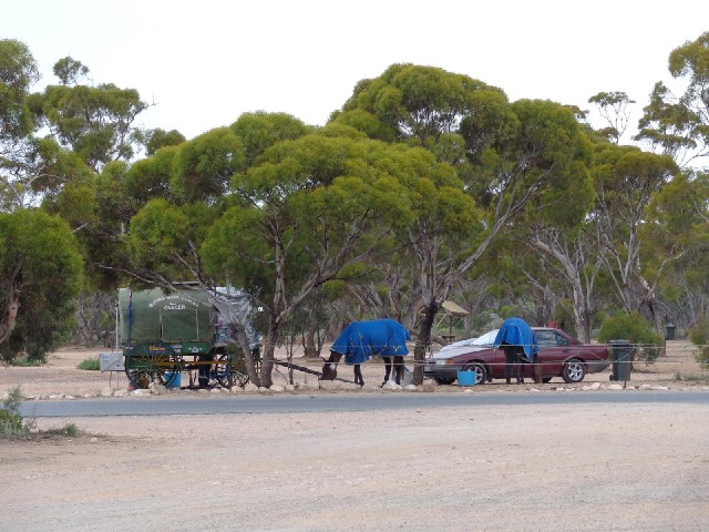Somebody is trying to go right round Australia with this cart and horses, although I think the car b...