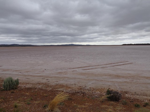 Part of Lake Cowan, which looks like just damp mud. The road and railway each run across it on raise...