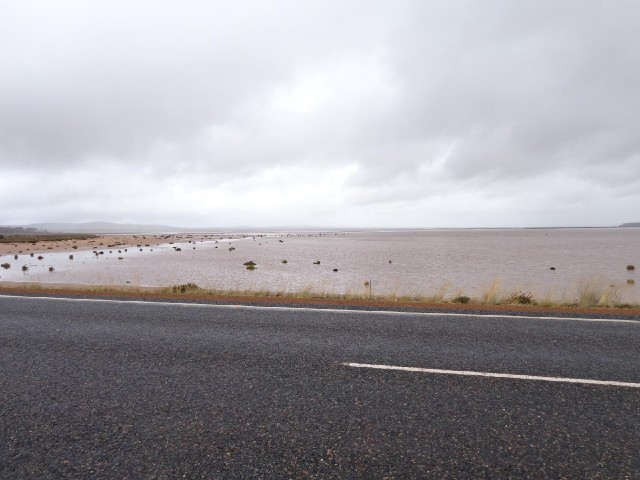 Remember Lake cowan, the expanse of damp mud which I saw yesterday? Here it is today looking much mo...