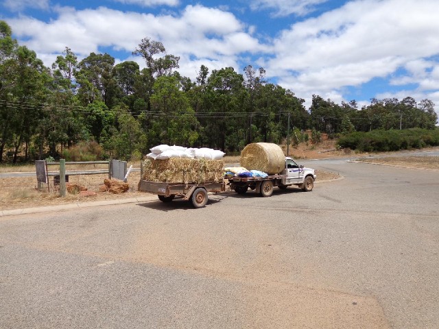 Some hay bales parked outside the last of my 24 petrol stops. Ignoring the partial tanks of fuel at ...