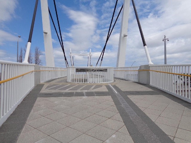 A bridge across the Kwinana Freeway. The artwork on the railings and in the ground references the Sw...