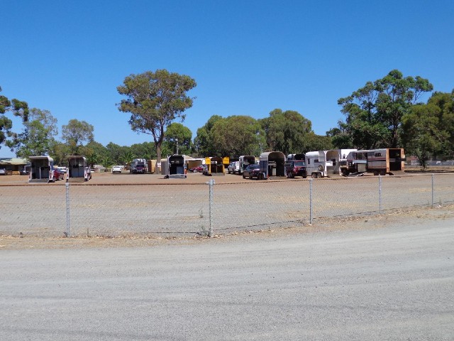 Horseboxes at the racetrack.