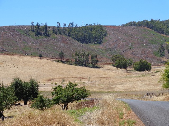 Another deforested hillside.