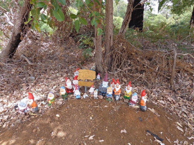 I don't know how Gnomeville started but now people from all over the world bring gnomes and leave th...
