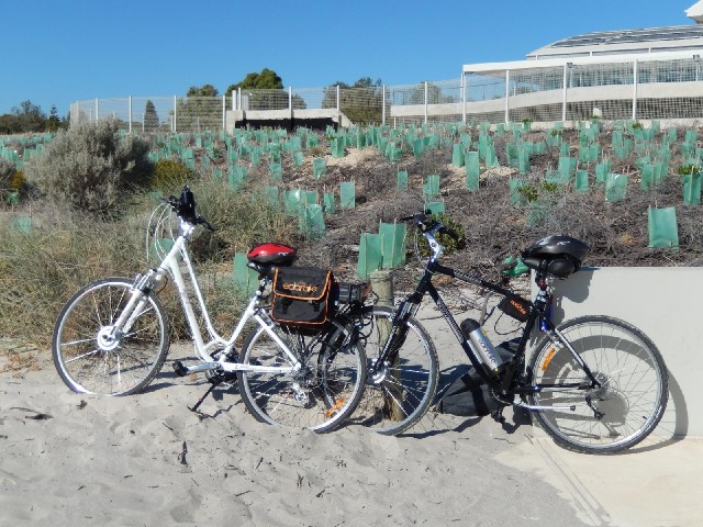 These things call themselves solarbikes. I can see big batteries on them but no obvious solar panels...