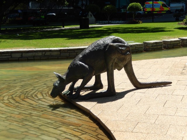 I like this one. There's a tiny fountain under its nose, causing about as much disturbance to the wa...