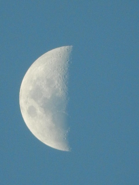 The Moon, now waxing again.