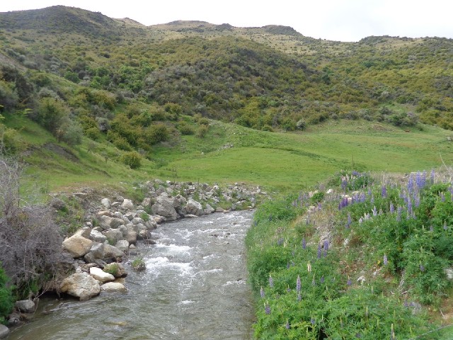 The Cardrona river.