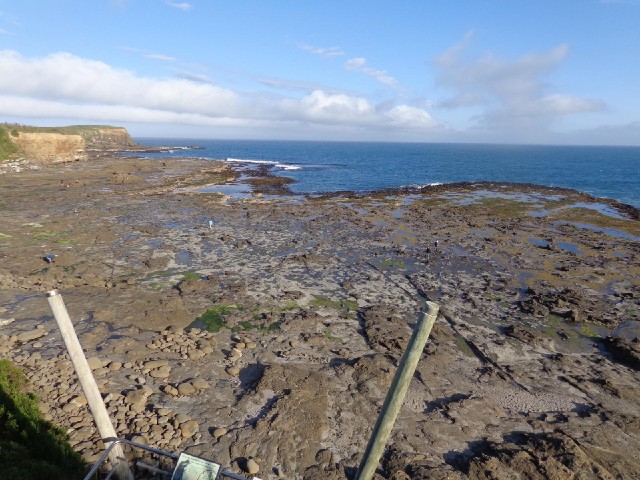 The petrified forest at Curio Bay. A lot of the lumps of rock used to be trees.