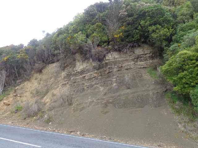 Rock strata. The Catlins, the region which I am passing through today, has many parallel ridges of h...