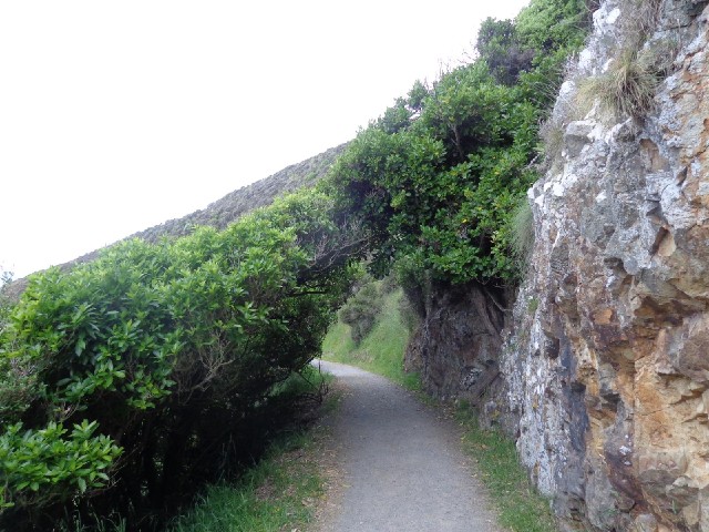 Shaped by the wind, the trees have formed natural cover over part of the path.