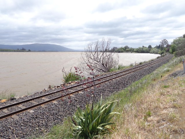 Lake Waihola with the railway line, which still carries freight but not passengers.