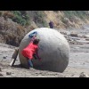One of the Moeraki boulders. Each of these boulders started with a small pebble which became buried ...