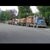 Logging trucks in Geraldine.