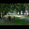 A shady spot in Ashburton. I tried to eat an ice lolly here but even under these trees, quite a lot ...