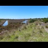 The tracks crossing Swan Bay Saltmarsh.