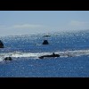 There's a seal on the flat rock in the foreground. It's one of many all along these few kilometres o...