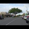 That's a big tree for such a small roundabout.