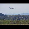 A small plane coming into Napier.