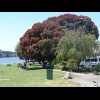 A shady spot in Wairoa.