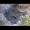 A bubbling mud pool.